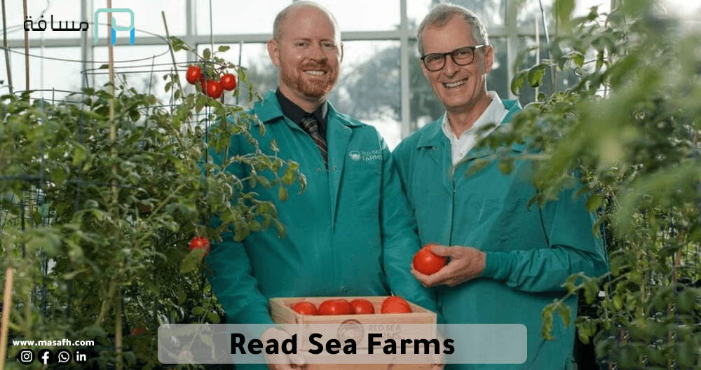 Read Sea Farms