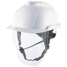 shielded helmet